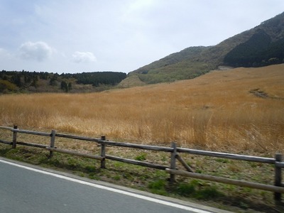 DSCN0728-s.jpg