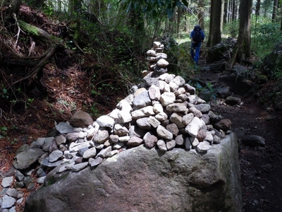 DSCN0740.jpg