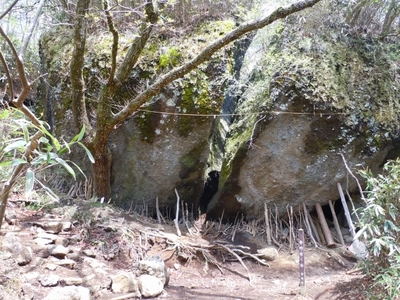 DSCN0750.jpg