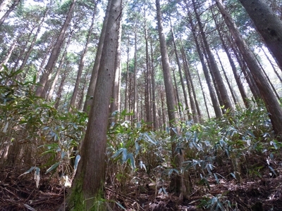 DSCN0754.jpg