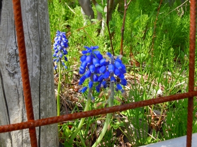 DSCN0832.jpg